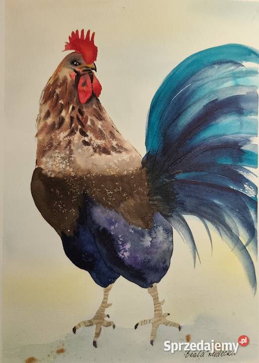 Akwarela Akwarelka Obraz pt Strażnik Świtu Warszawa sprzedam