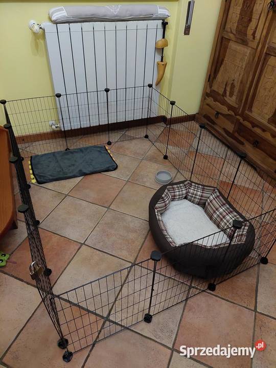 Klatka królika kojec wybieg modułowy duży zestaw wielkopolskie Okonek