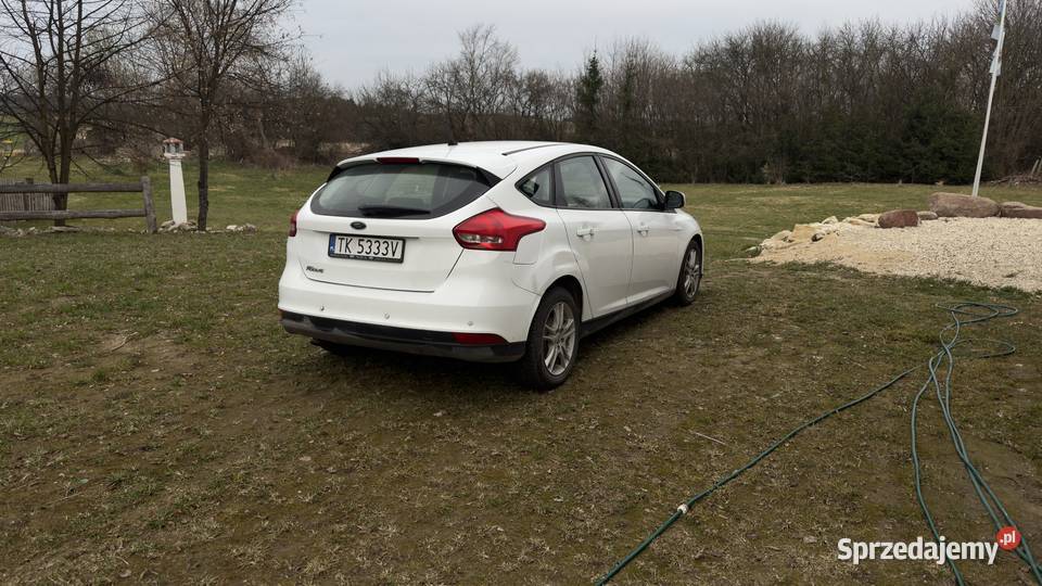 Ford focus 2016