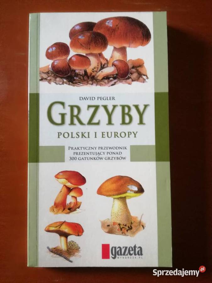 Grzyby Polski i Europy David Pegler