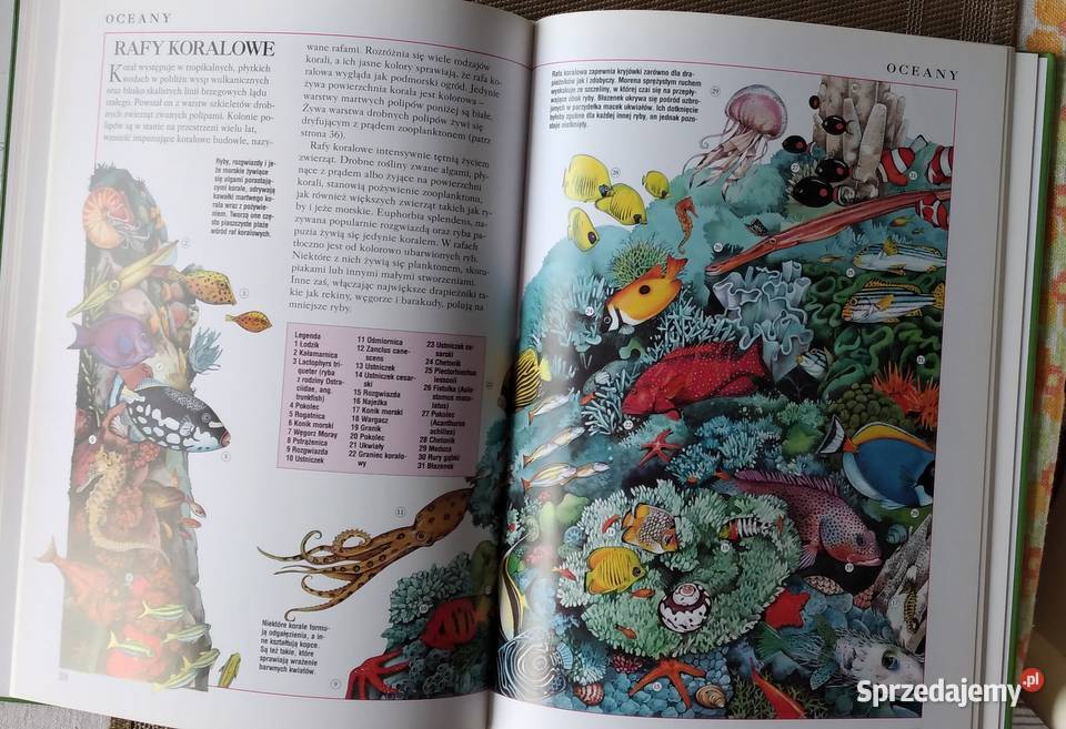 książki dzieci Bukowno