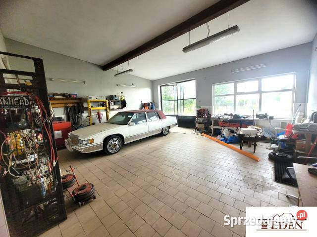 Lokal Łuków Łapiguz 140m Wynajem