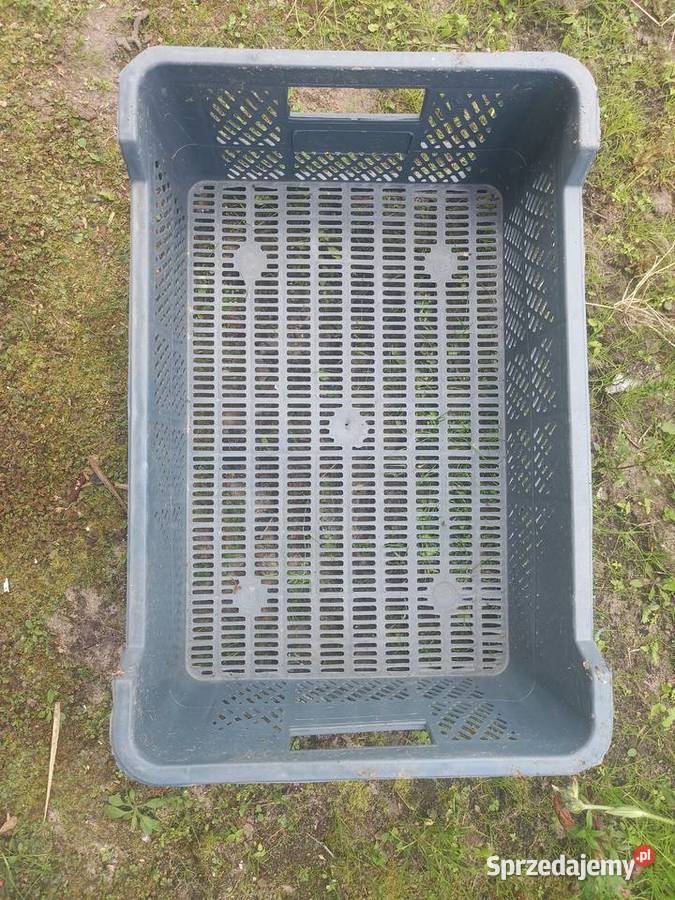 Skrzynka Skrzynki Plastikowa 15 Używane 60X40X22