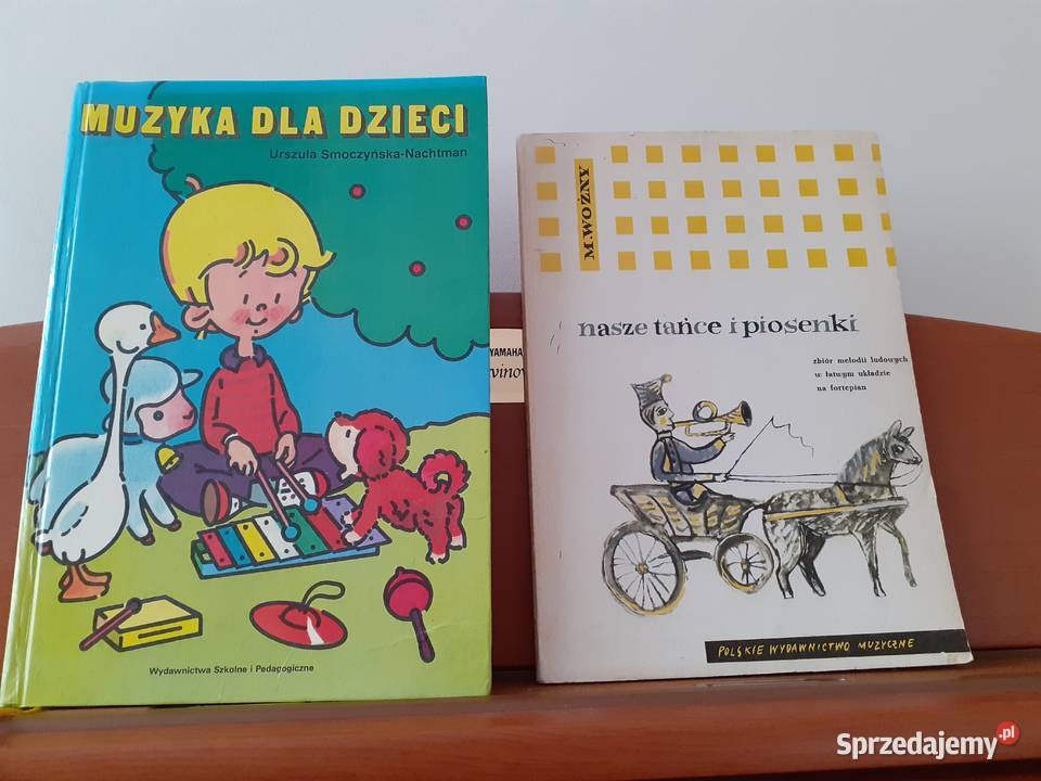 ZESTAW ALBUMÓW Z PIOSENKAMINUTAMI DZIECI Pozostałe