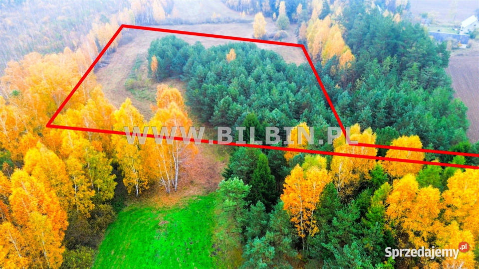 sprzedaży działki 12046m2 Berżałowce sprzedam