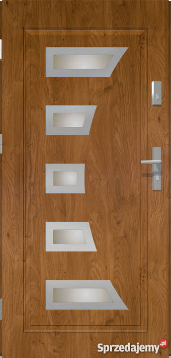 DRZWI ZEWNĘTRZNE ZEUS Iława