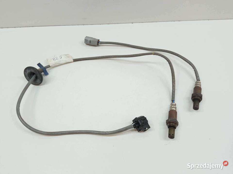 SONDA LAMBDA 1491006832 1491006820 16 B 116