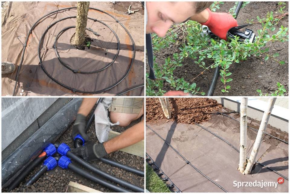 pielęgnacja ogrodów porządkowanie czyszczenie Pabianice