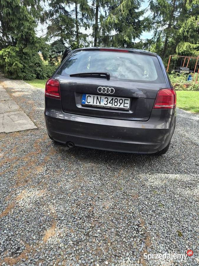 Audi A3 P8 2011 Toruń