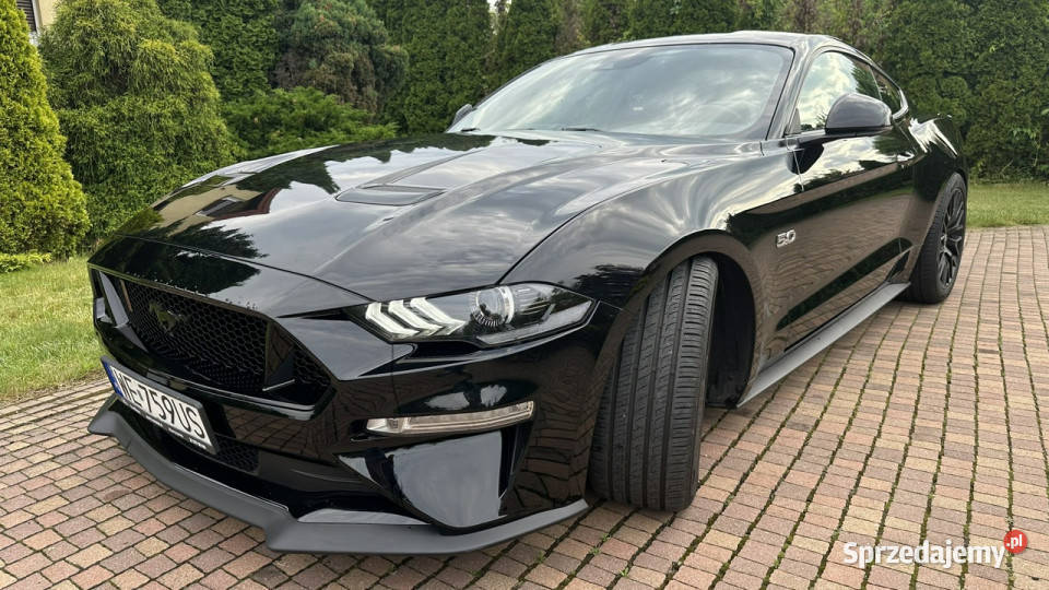 Ford Mustang Przasnysz