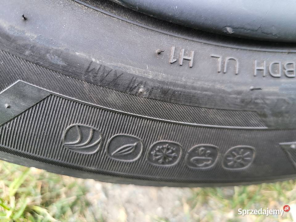 4 koła vw skoda seat 195 65 15 całoroczne Żórawina