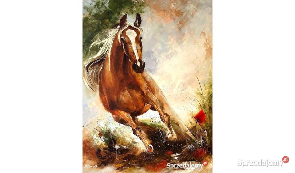 Kowalik Koń w galopie 60x80 obraz olejny