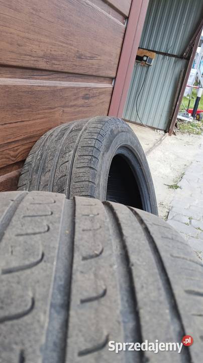 Opony Pirelli 2055516 Turowola