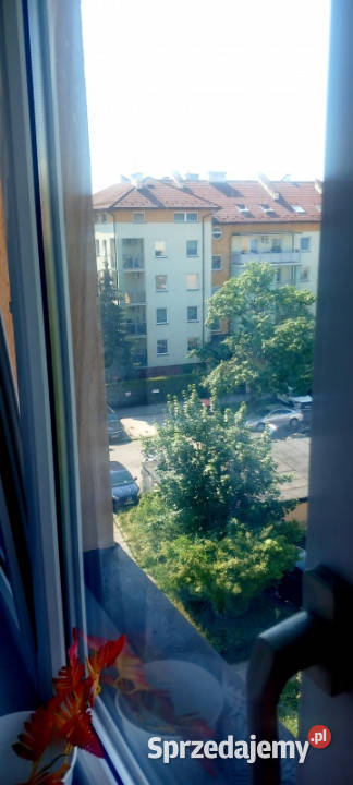 Wynajmę mieszkanie tarnów