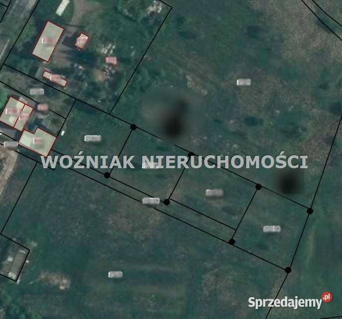 Działka Dębrznik 1137 metrów