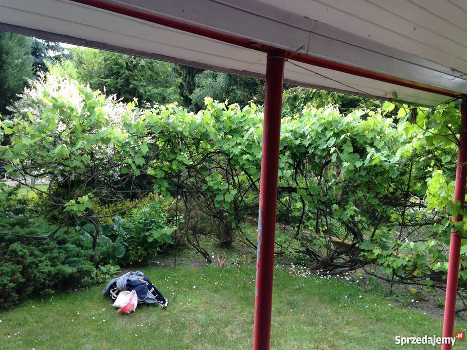 Działka rekreacyjna Sierosław bezpośrednio domek