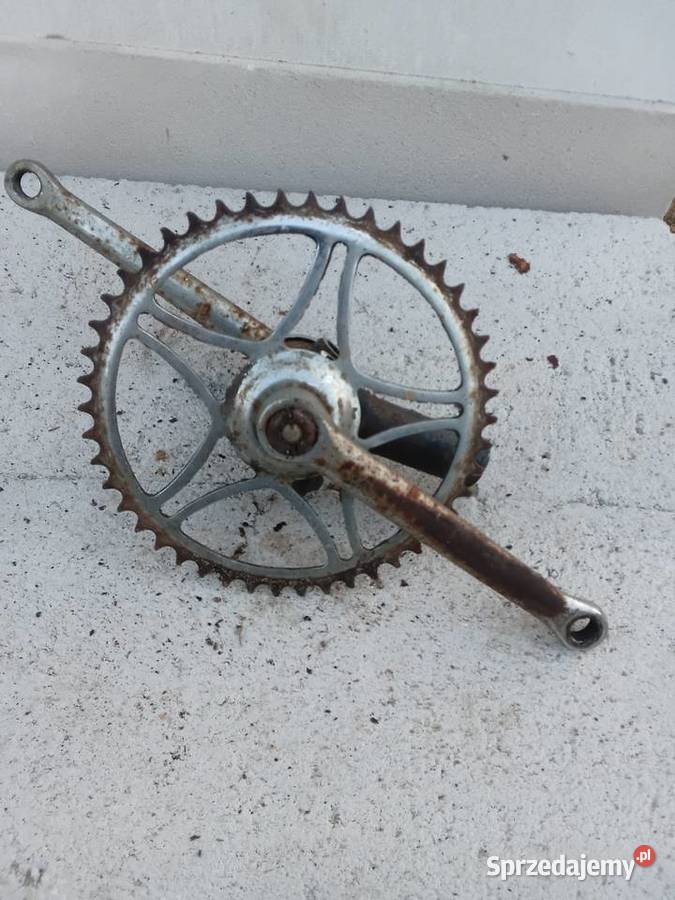 Move suport korby tryb klasyczny Milejewo