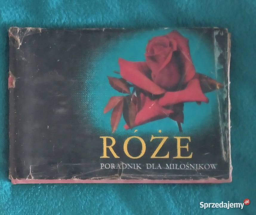 Sprzedam poradnik miłośników róż Bukowno