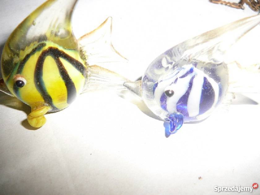 2 małe ryby szkło Wrocław