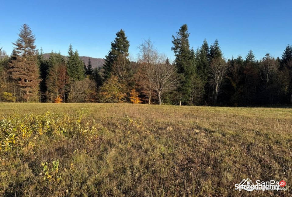 sprzedaży gruntu Werlas 1986m2 224zł/m2