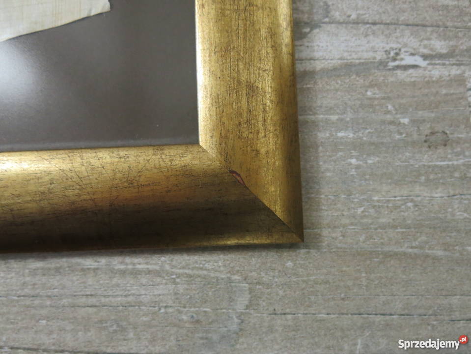 Papirus w ramce 41x51 2 sztuki Dekoracje i ozdoby Warszawa