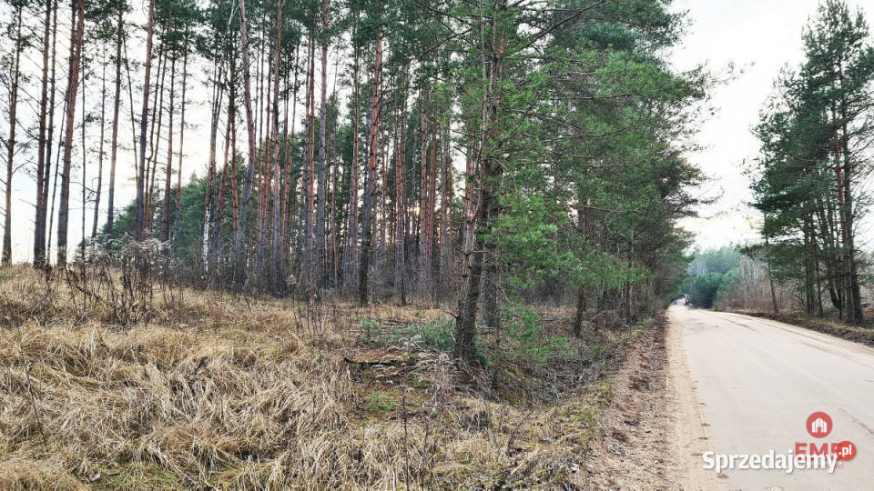 Grunt Jurowce 8476m2 sprzedam