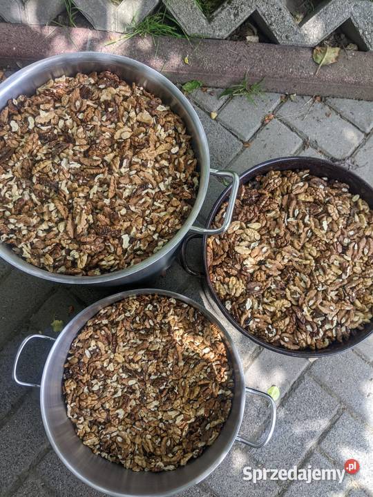 Sprzedam 40 wyłuskanych orzechów włoskich sprzedam