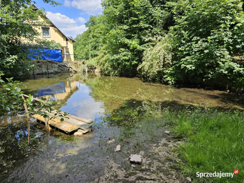 Syndyk sprzeda nieruchomość niezabudowaną Podgórzyn
