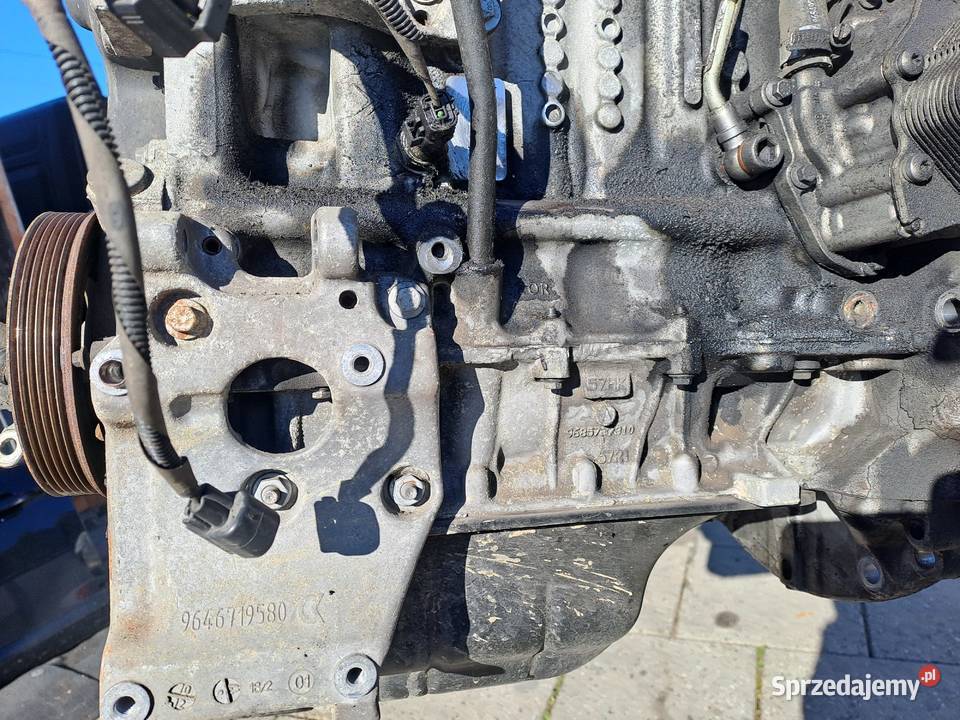 Ford Fokus 2010r 16 TDCi silnik kompletny kod Jastrzębie-Zdrój