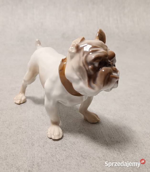 BG Bing Grondahl 1676 Bulldog Dahl Jensen pomorskie Gdańsk