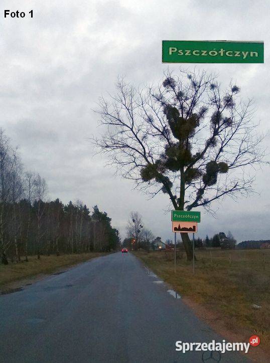 Sprzedam działki w Sosnowcu Wielkim kRynarzewa Rynarzewo