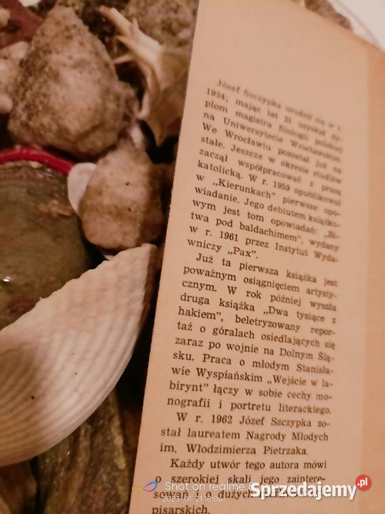 Wejście w labirynt Szczypka Wyspiańskiego Warszawa sprzedam