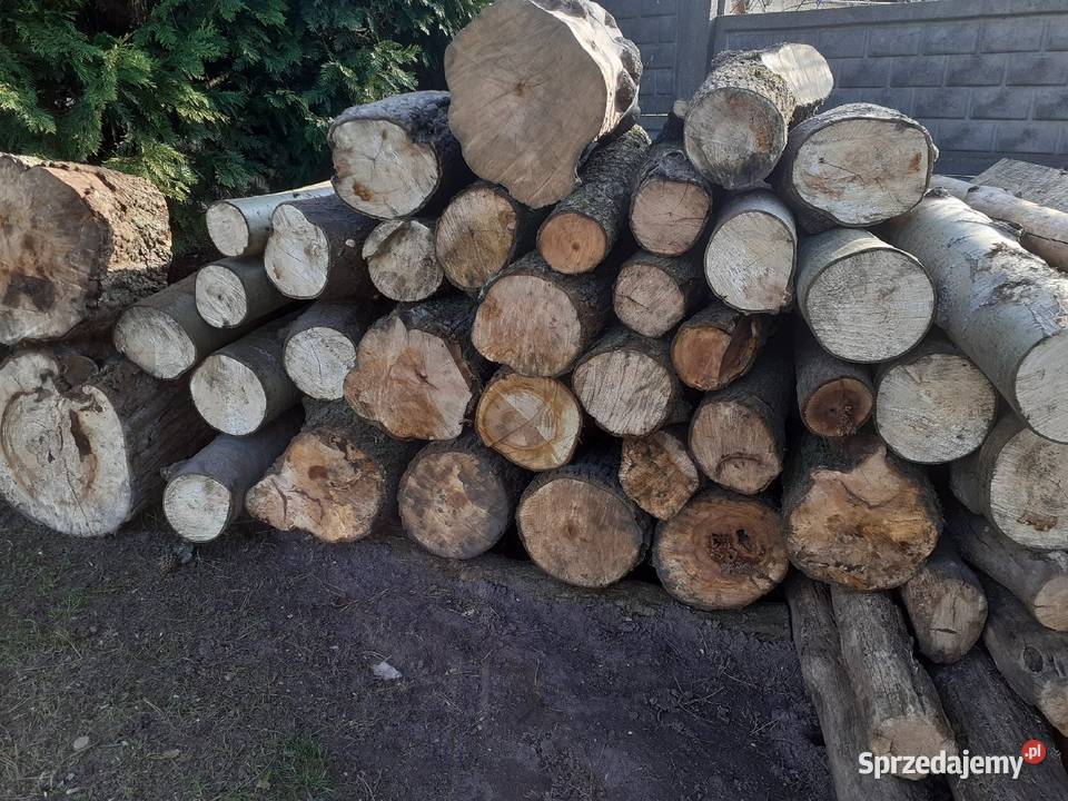drewno drzewo na opał do kominka śląskie Kamienica Polska