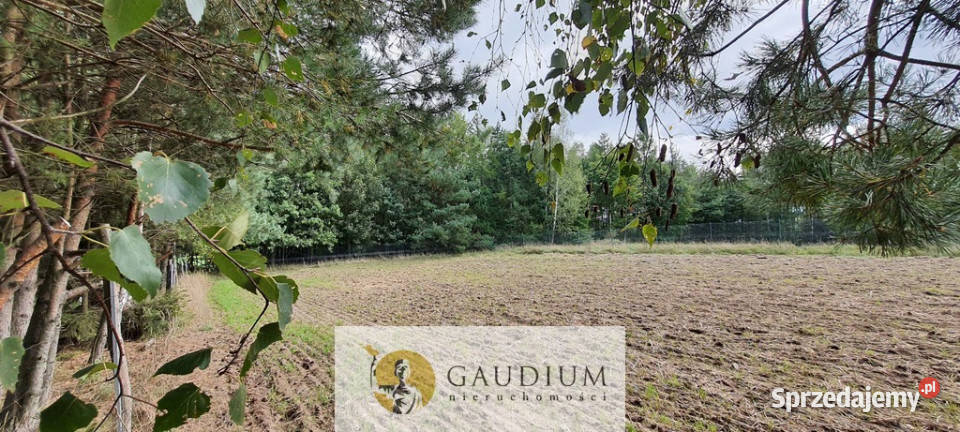 Koteże działka tuż lesie budowlana