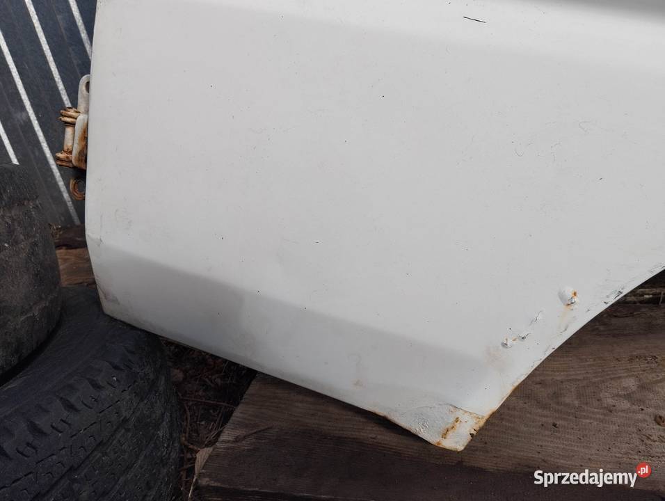 Drzwi Hyundai H100 strona kierowcy wielkopolskie Poznań