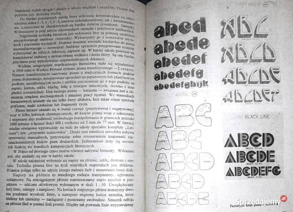 Dekoracje stałe i okolicznościowe w szkole Paweł Chełm sprzedam