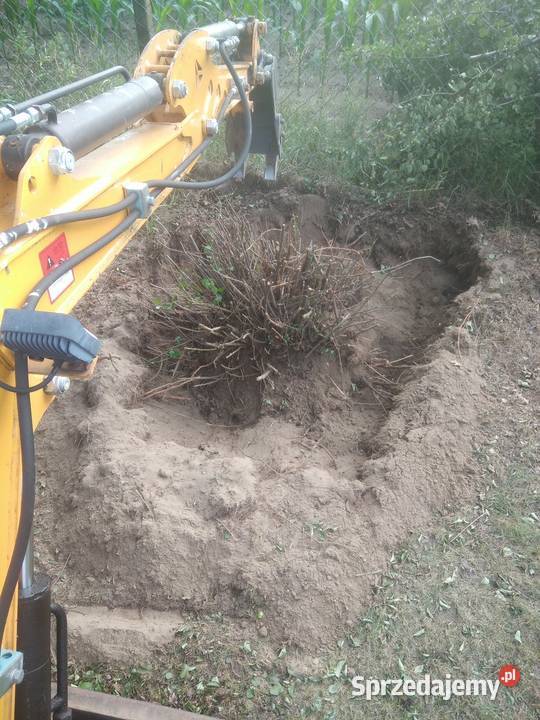 Pielęgnacja ogrodów ogrodnictwo Pielęgnacja ogrodów i trawników