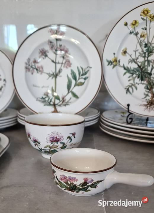 VilleroyBoch Botanica serwis obiadowy 5 osób Porcelana i szkło Nałęczów