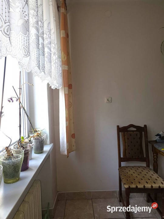 Mieszkanie Sanok Berka Joselewicza 615 metrów