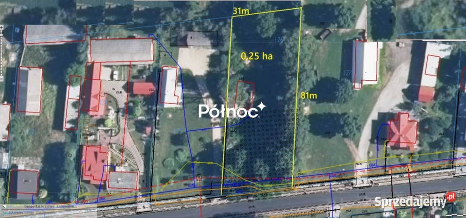 Działka 025 ha z mediamicisza zieleń potencjał Nieruchomości Horyszów-Stara Kolonia