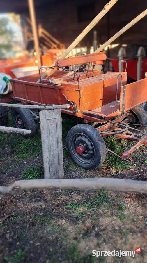 Sprzedam byczki konne Proboszczowice