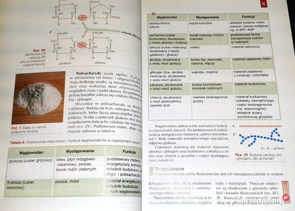 Biologia 1 A Kornaś Z Miszalski M Kłyś R Pozostałe