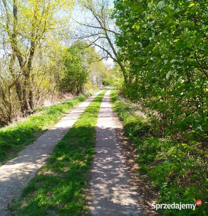 Działka rolna łąka Radolina gm Golina wielkopolskie Konin