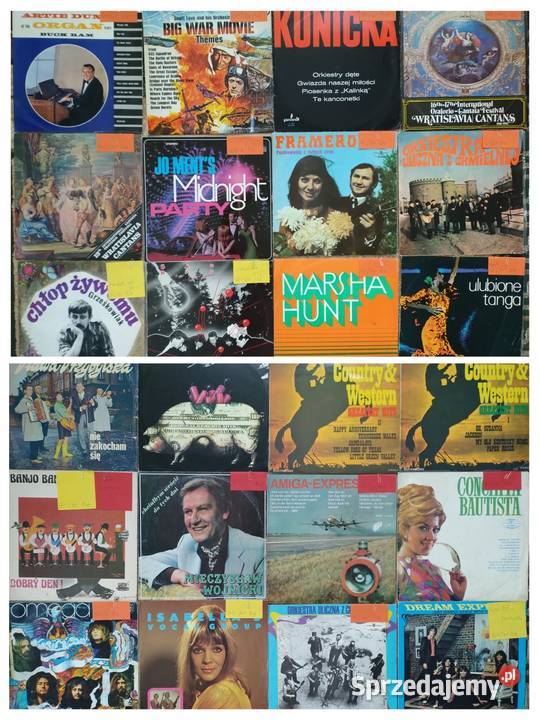 Płyty winylowe Gigantyczny MIX do wyboru do lubelskie