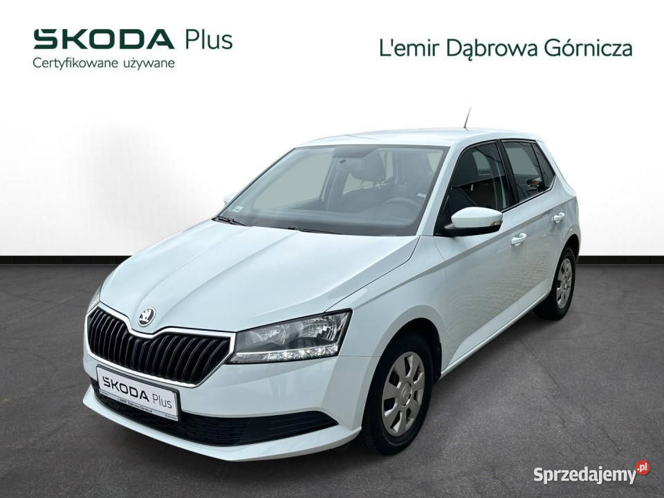 Skoda Fabia 1.0 MPI ACTIVE, Serwis ASO, Pierwszy właściciel,