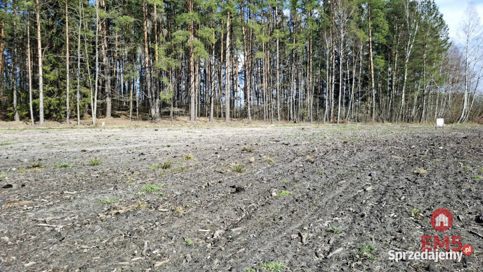 Sprzedaż gruntu 1183m2 Solniczki