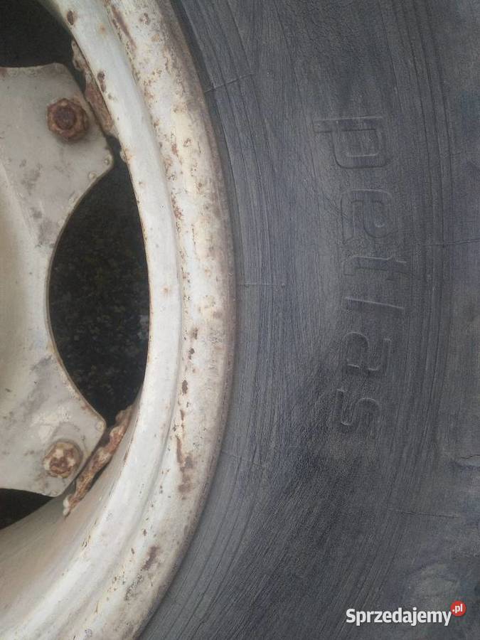 Koła Ursus 14928 4011355360 Poznań