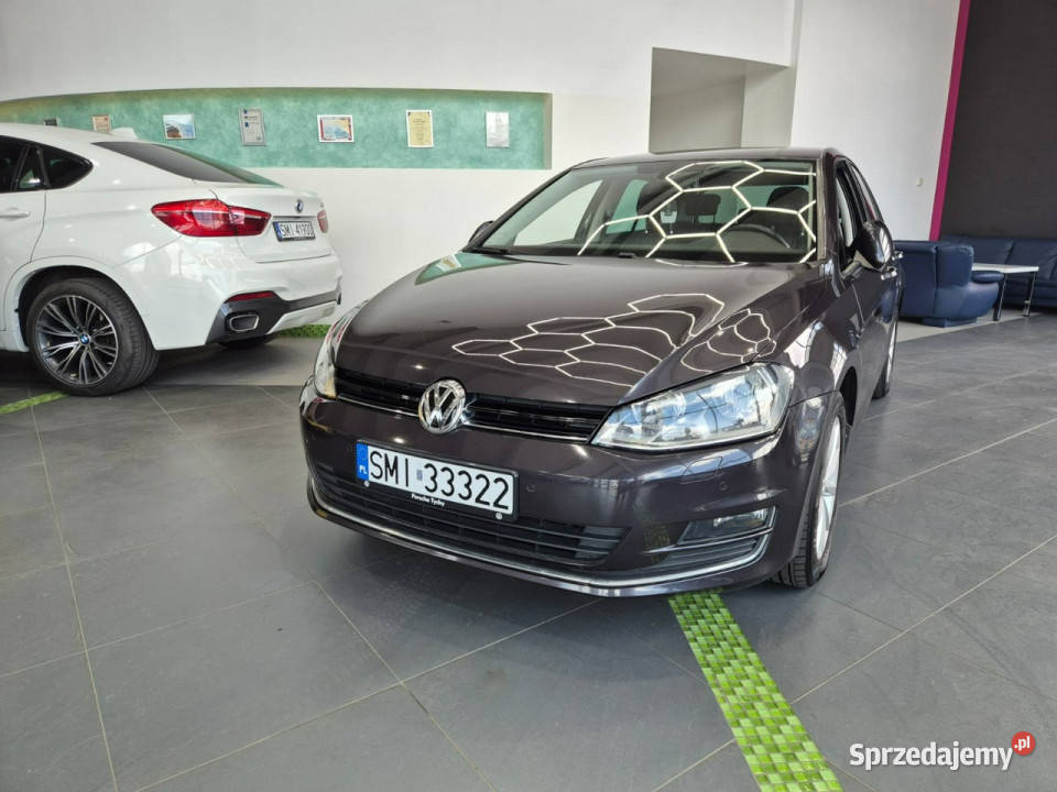 Volkswagen Golf Volkswagen Golf 16 TDI 4/5 Łaziska Górne sprzedam