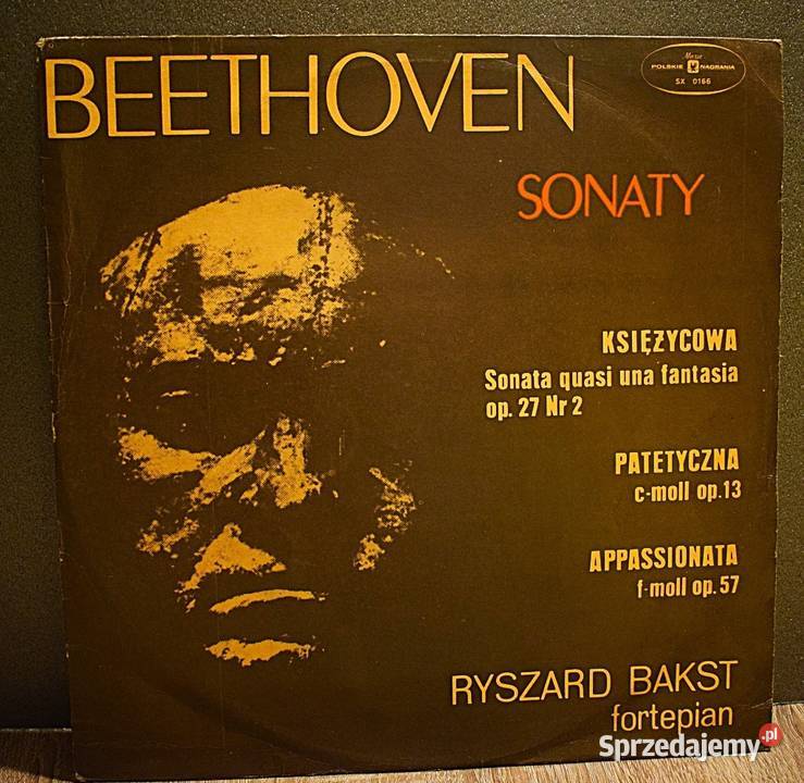 Ludwig van Beethoven sonaty dwie płyty w jednej płyta winylowa Płyty i kasety kujawsko-pomorskie Chełmno