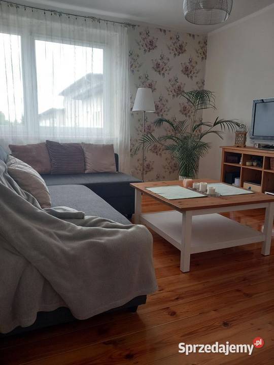 2pok 52met Katowickiej PIWNICA Wrocław parter